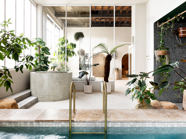 an indoor pool and oasis inside Sense of Self, Collingwood