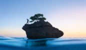 Christmas Island William Patino