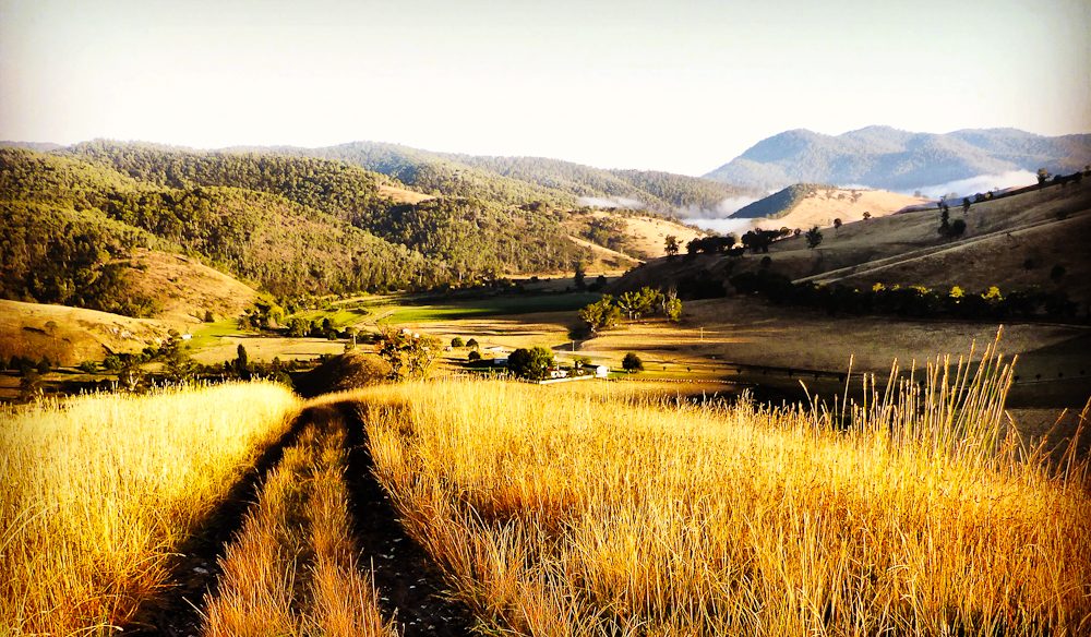 The back way, Gippsland, (photo: Lee Atkinson),