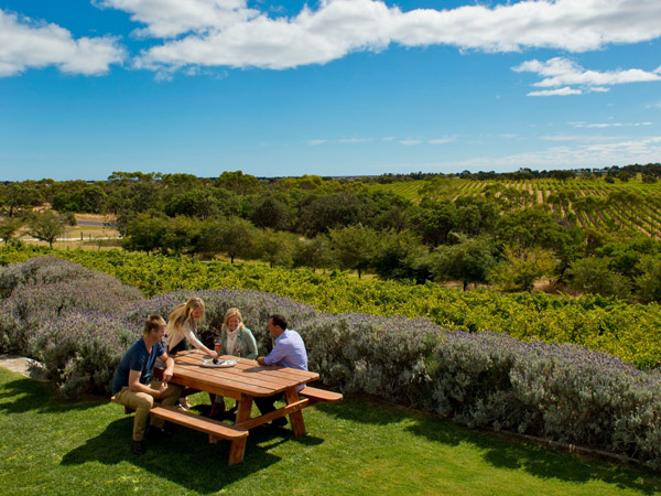 outdoor wine tasting at Cape Jaffa Wines