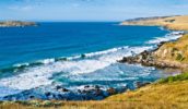 Fleurieu Peninsula’s Petrel Cove