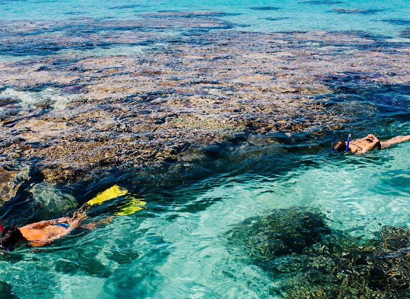 Snorkelling/diving the Great Barrier Reef
