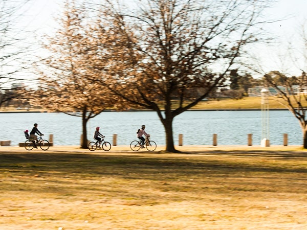 a group of cyclists touring around Lake Burley Griffin