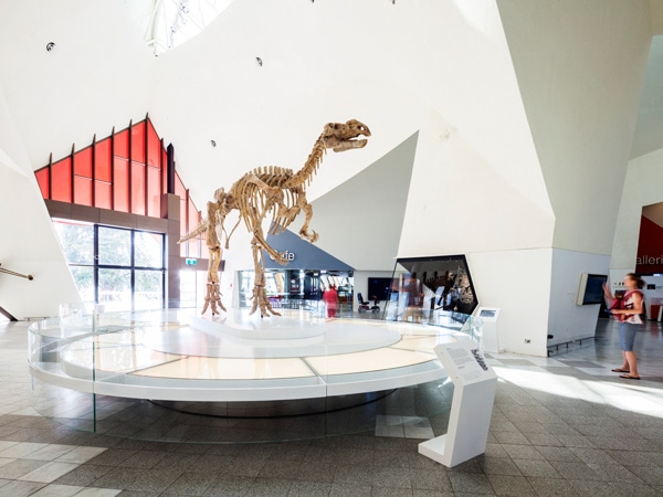 fossilised bones of a Muttaburrasaurus dinosaur at Gandel Atrium, National Museum of Australia