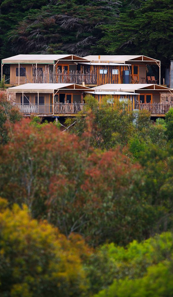 Slumber Safari - Werribee Open Range Zoo