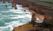 Sow and Piglets 12 Apostles