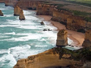 Sow and Piglets 12 Apostles