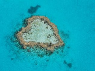 Heart Reef Great Barrier Whitsundays