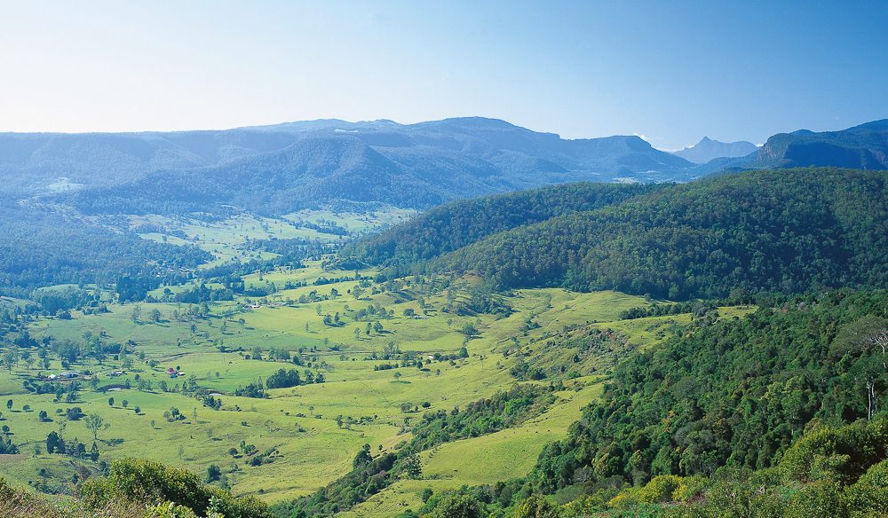 Mount Tamborine QLD