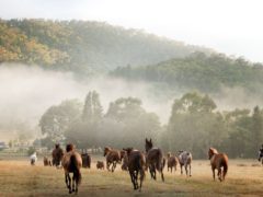 Mt Feathertop in the Victorian Alps