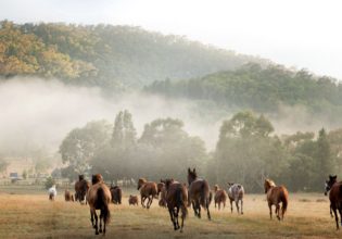 Mt Feathertop in the Victorian Alps