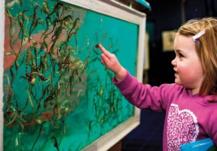 Seahorse World_Rob Burnett (5)