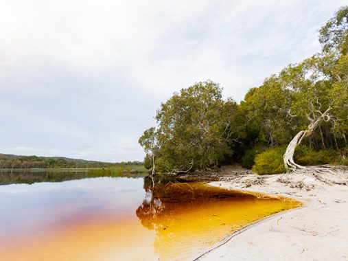 A Guide to North Stradbroke Island - Australian Traveller