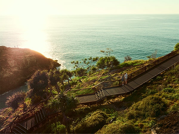 A walkway by the sea surrounded by greenery on North Stradbroke Island.
