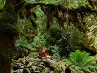 Growling Swallet walk Mt Field National Park