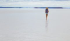 Lake Gairdner’s seamless horizon 
(photo: Lara Down).