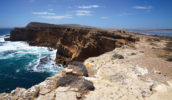 south australia driving holidays eyre peninsula cummings look out