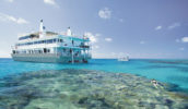 Snorkel the stunning Great Barrier Reef with Coral Expeditions