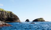 norfolk island coast