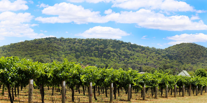 The Ultimate Guide to Your Next Trip to Mudgee