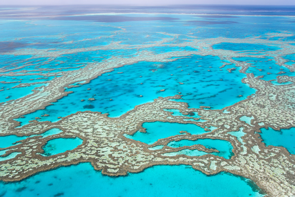 Great Barrier Reef QLD