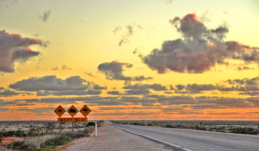 Australia greatest road trips driving holidays Nullarbor Plain