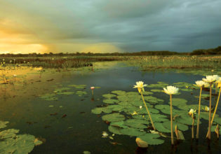 landscape kakadu nothern territory holdays attractions culture outback