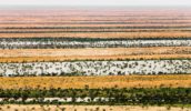 Boulia Winton North Queensland channel Country outback