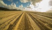 Four wheel drive tracks Fraser Island