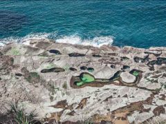 Royal National Park Sydney