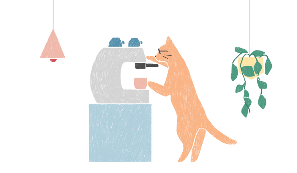 Cat cafe food cats
