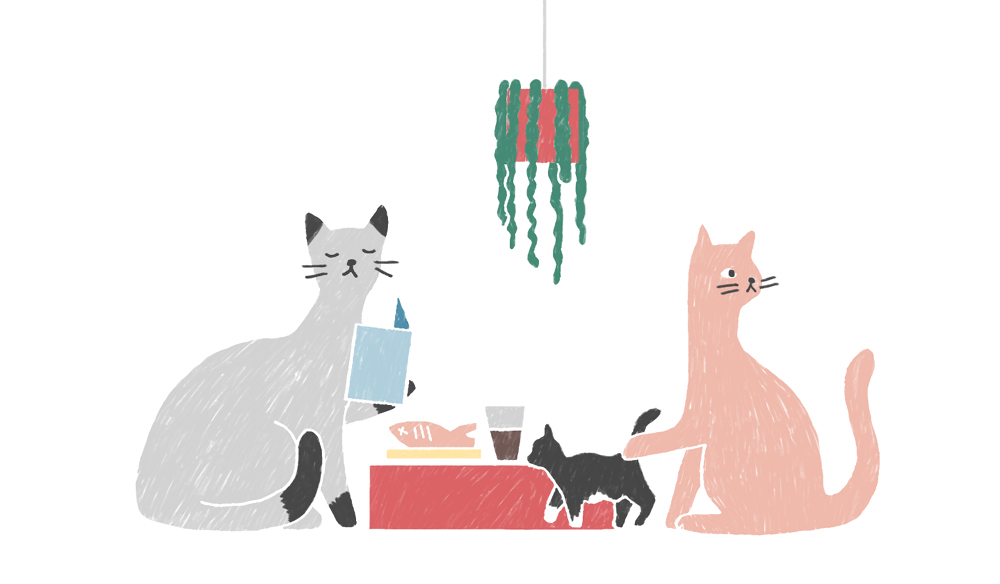 Cat cafe food cats