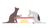 Cat cafe food cats