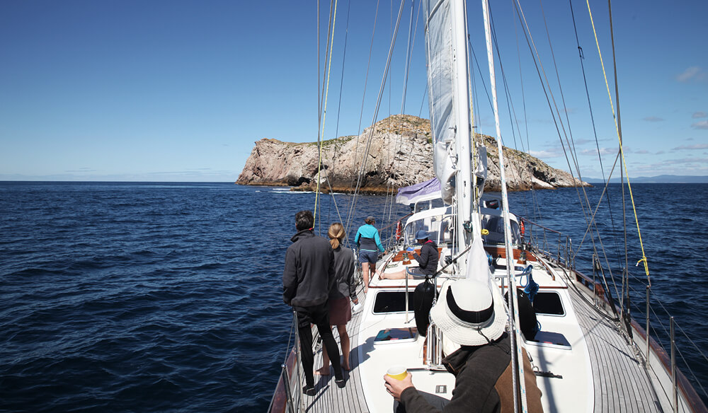 Tasmania sailing island adventure