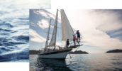 Tasmania sailing island adventure