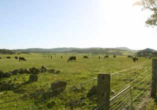 Milton NSW