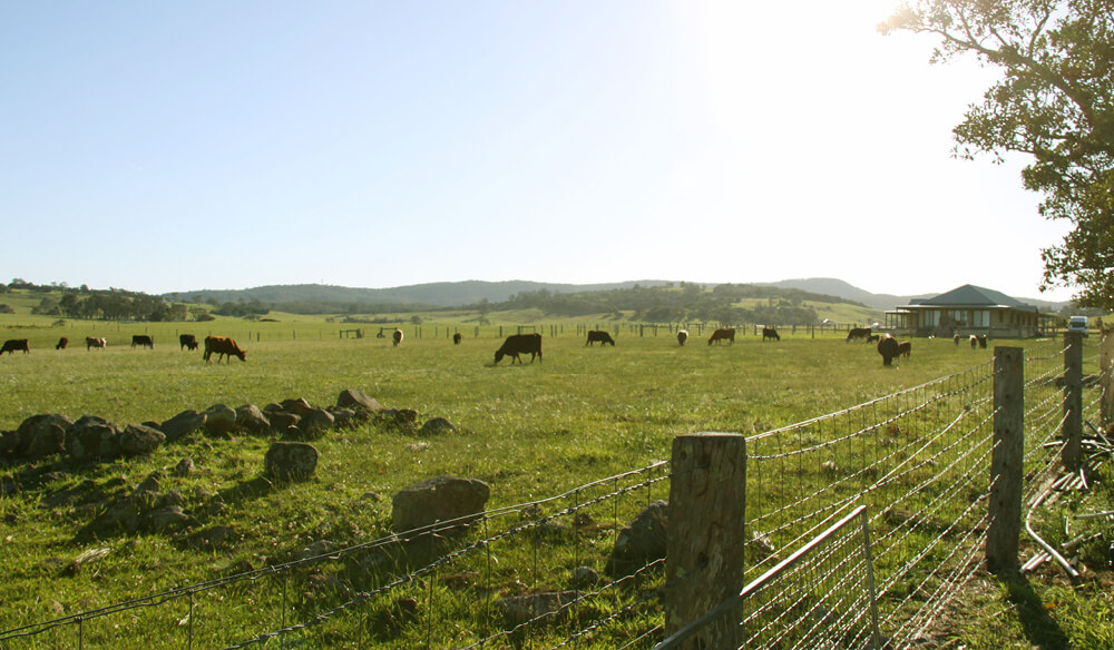 Milton Mollymook Country town Australia