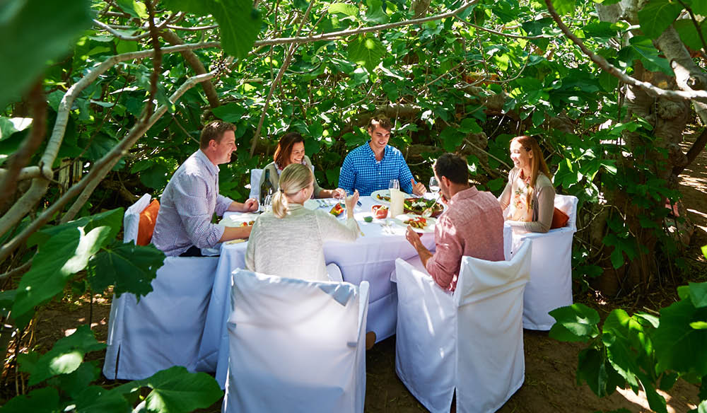 Lunch is best enjoyed with friends