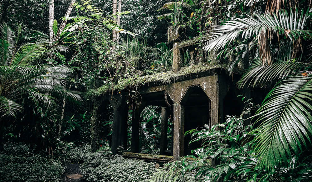 tropical destination castle jose margarita queensland