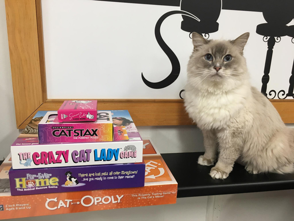 Cafe Purrfection, Chatwood.