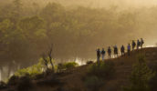 Sunrise over Murray River valley, Headings Cliffs
