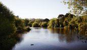 Lake house food and wine melbourne Allan wolf-Tasker