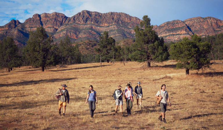 7 of the best Walking Holidays in Australia - Australian Traveller