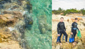 swimming snorkeling coast NSW far south coast