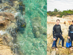swimming snorkeling coast NSW far south coast