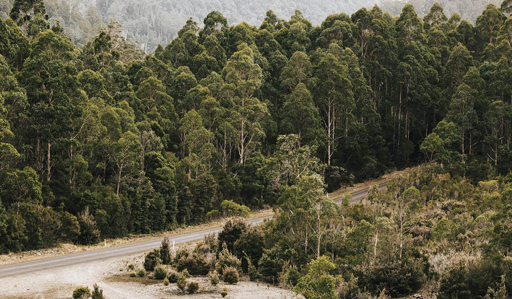Tasmania Campervan