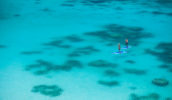 Lizard Island things to do