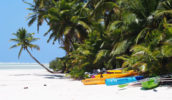 Clear water at Cocos Beachcomber