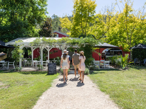 friends exploring Greenway Wines in Wollombi Road, Broke