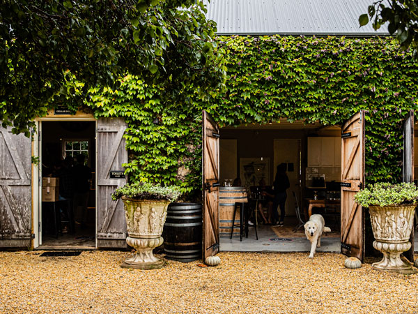 scenic grounds of Krinklewood Vineyard, Broke in the Hunter Valley
